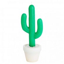 Bougie cactus