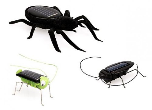 Kit de jouets solaires en forme d’insectes